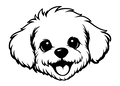 předěl