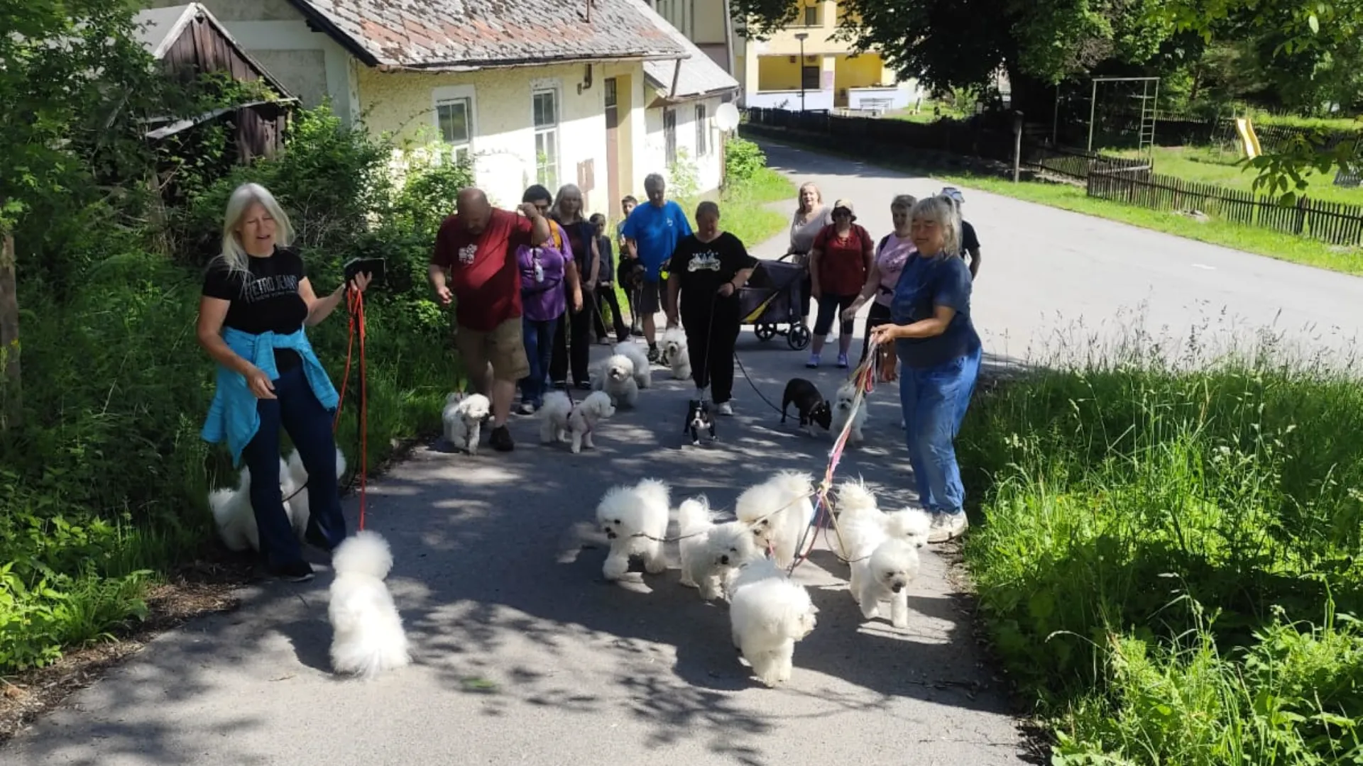 NA PROCHÁZCE