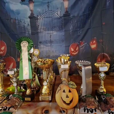 Halloween 2025 (5)