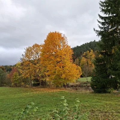 bichonfest 2.díl (20)