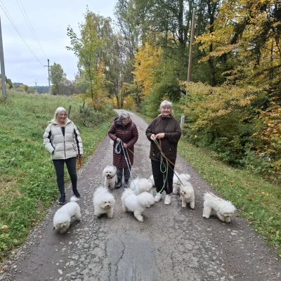 bichonfest 2.díl (29)