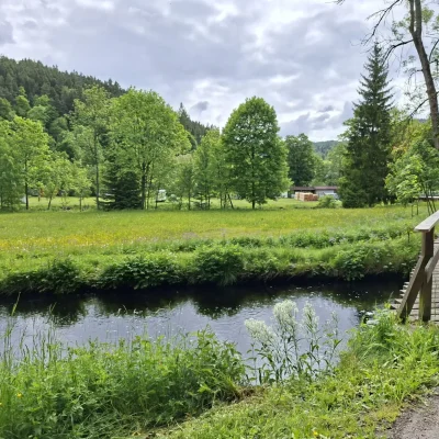 bichonfest 2025 1.díl (20)