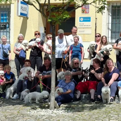 bichonfest 2025 1.díl (22)