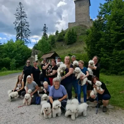 bichonfest 2025 1.díl (24)