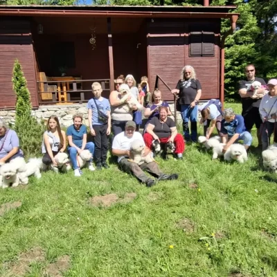 bichonfest 2025 1.díl (25)