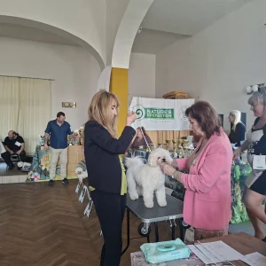 jarní výstava 7.3.2026 (11)