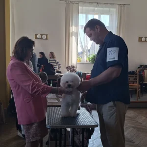 jarní výstava 7.3.2026 (14)