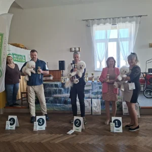 jarní výstava 7.3.2026 (15)