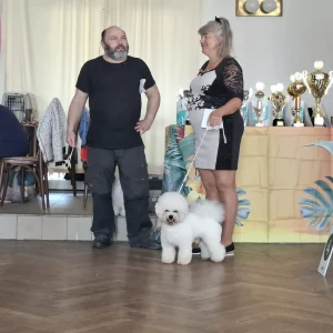 jarní výstava 7.3.2026 (17)