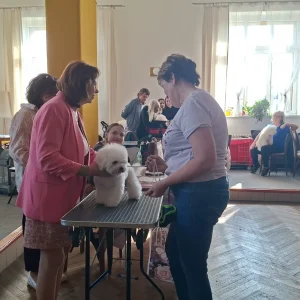 jarní výstava 7.3.2026 (2)