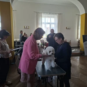 jarní výstava 7.3.2026 (21)