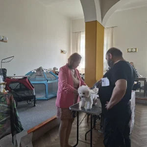jarní výstava 7.3.2026 (23)
