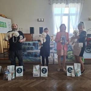 jarní výstava 7.3.2026 (24)