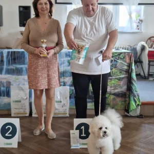 jarní výstava 7.3.2026 (35)