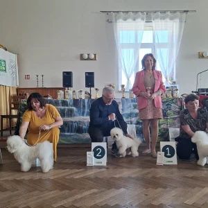 jarní výstava 7.3.2026 (6)