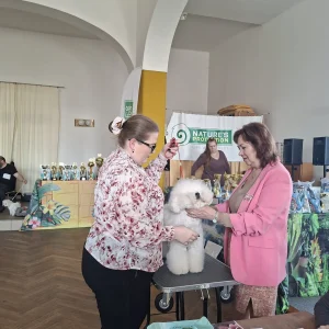 jarní výstava 7.3.2026 (7)